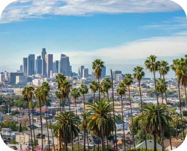 GMB Optimization Service Los Angeles